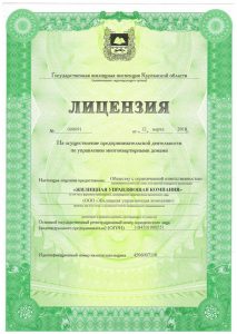 лицензия скан